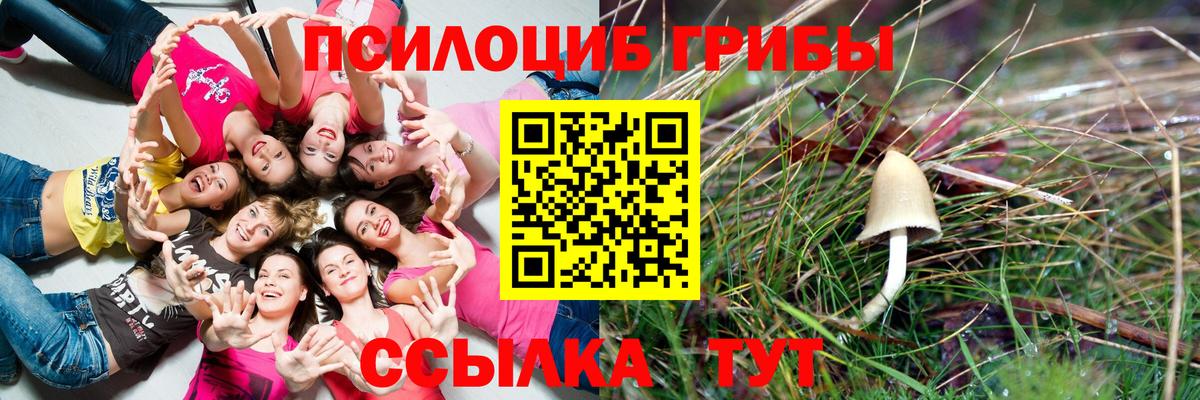 Псилоцибиновые грибы мухоморы Электрогорск