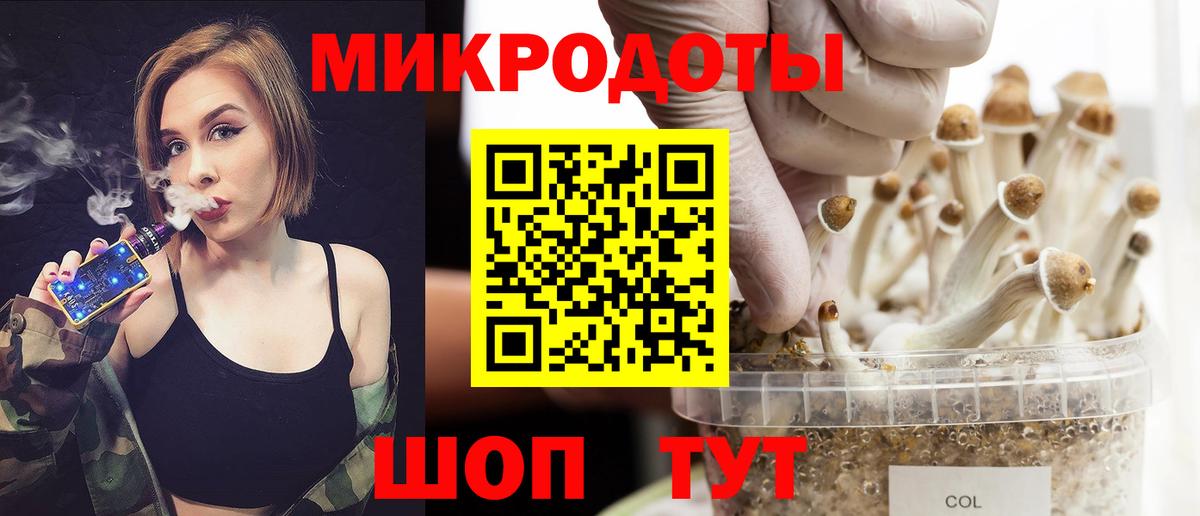 Электрогорск  Галлюциногенные грибы прущие грибы  Вход с VPN 