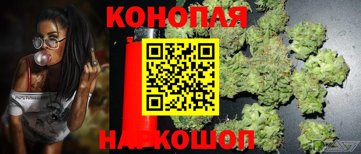 Каннабис индика  Каннабис Bruce Banner  Вход с VPN  Электрогорск 
